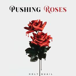 Album cover of Pushing Roses