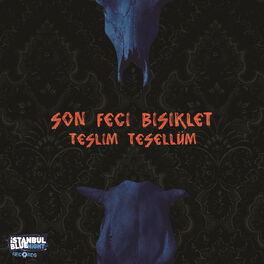 Album picture of Teslim Tesellüm