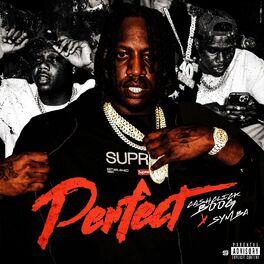 Album cover of Perfect (feat. Symba)