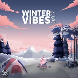 Album cover of Winter Vibes 2020
