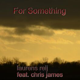 Album cover of For Something