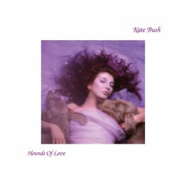Album cover of Hounds Of Love