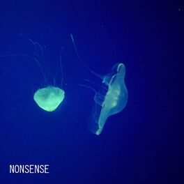 Album cover of Nonsense