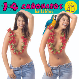 Album cover of 14 Cañonazos Bailables, (Vol. 40)