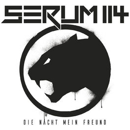 Album cover of Die Nacht mein Freund