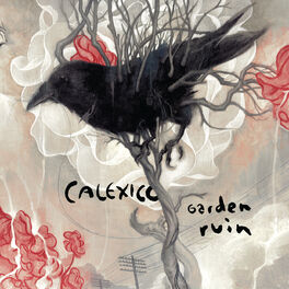 Album cover of Garden Ruin