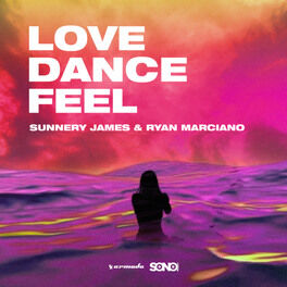 Album cover of Love, Dance And Feel