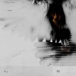 Album cover of B2