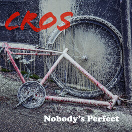 Album cover of Nobody's Perfect