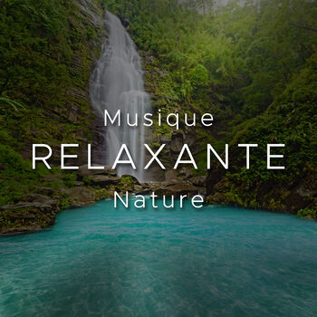 Musique zen - song and lyrics by Musique Zen Garden