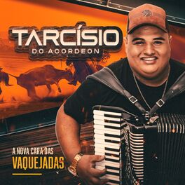Album cover of A Nova Cara das Vaquejadas