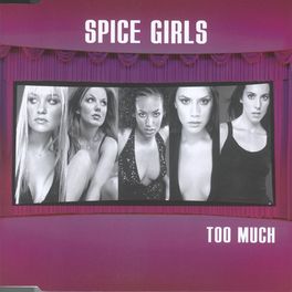 Album cover of Too Much