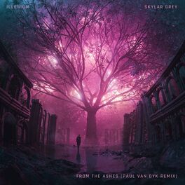 Album cover of From The Ashes (with Skylar Grey) (Paul van Dyk Remix)