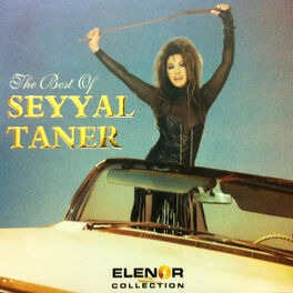 Album cover of The Best Of Seyyal Taner