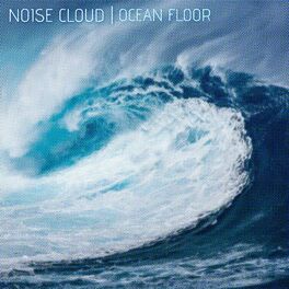 Album cover of Noise Cloud