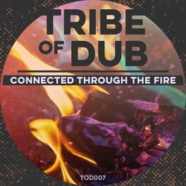 Album cover of Connected Through The Fire