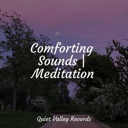 Album cover of Comforting Sounds | Meditation