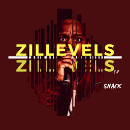 Album cover of Zillevels