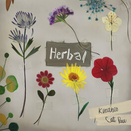 Album cover of Herbal