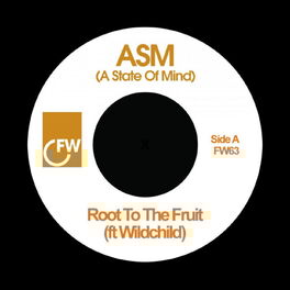 Album cover of Root to the Fruit