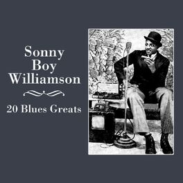 Album cover of 20 Blues Greats