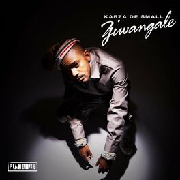 Album cover of Ziwangale