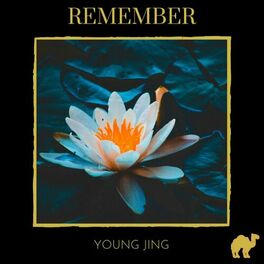 Album cover of Remember