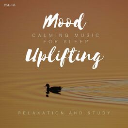 Album cover of Mood Uplifting - Calming Music For Sleep, Relaxation And Study, Vol. 08