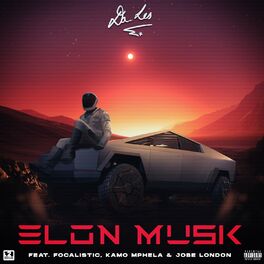Album cover of Elon Musk