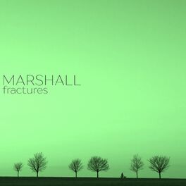 Album cover of Fractures