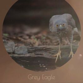 Album cover of Grey Eagle