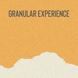 Album cover of Granular Experience