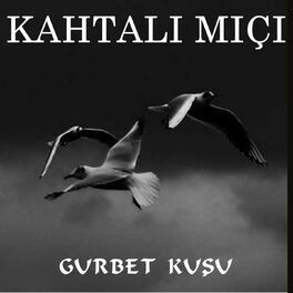 Album cover of Gurbet Kuşu