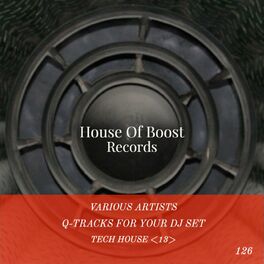 Album cover of Q-Tracks for your Dj Set Tech House 13