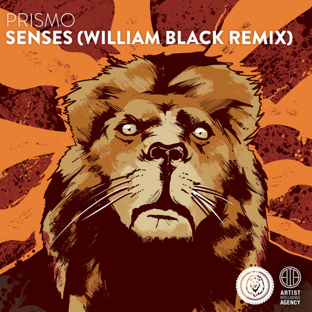 Black remix. Prismo senses. Senses Remix. William Black. Prismo Dreams.