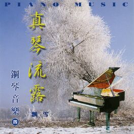 Album cover of 鋼琴音樂-4 真琴流露