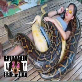Album cover of Senta na Anaconda