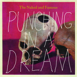 Album cover of Punching In A Dream