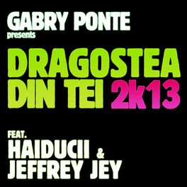 Album cover of Dragostea Din Tei 2k13