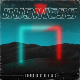 Album cover of The business (feat. Alis Shuka)