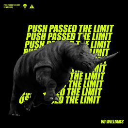 Album cover of Push Passed the Limit
