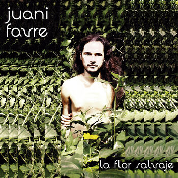Juani Favre - La Flor Salvaje: Canción con letra | Deezer Juani Favre - La Flor Salvaje: Canción con letra | Deezer