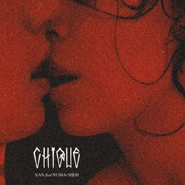 Album cover of Chique