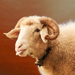 Album cover of Nessuno Mi Ha Svegliato (Niemert Gweckt)