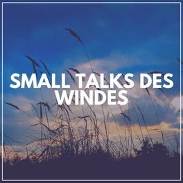 Album cover of Small Talks Des Windes