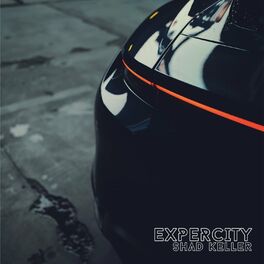 Album cover of Expercity