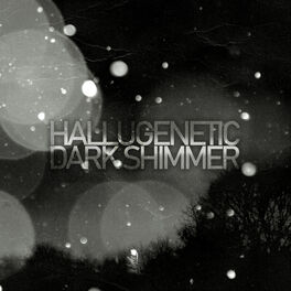 Album cover of Dark Shimmer (Florian Boden Remastered)