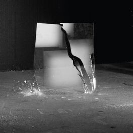 Album cover of The Beauty of Disaster