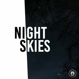 Album cover of Night Skies