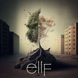 Album cover of Elif